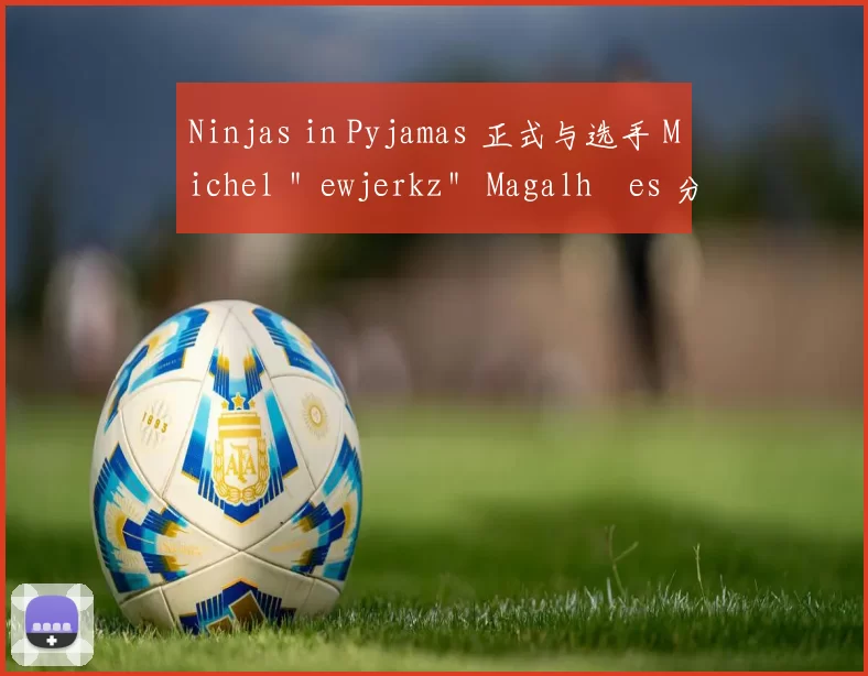 Ninjas in Pyjamas 正式与选手 Michel ＂ewjerkz＂ Magalhães 分道扬镳