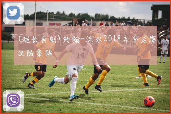 (超长自制)约翰-沃尔2018年季后赛攻防集锦