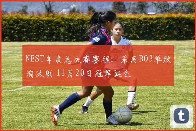 NEST年度总决赛赛程：采用BO3单败淘汰制 11月20日冠军诞生