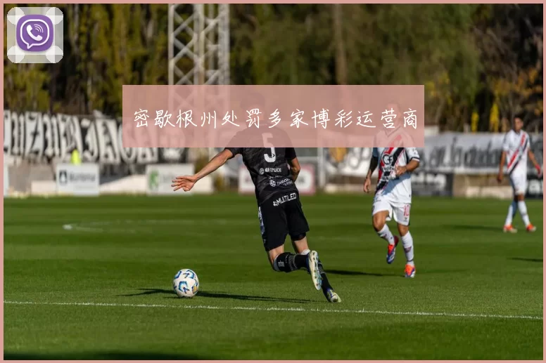 密歇根州处罚多家博彩运营商