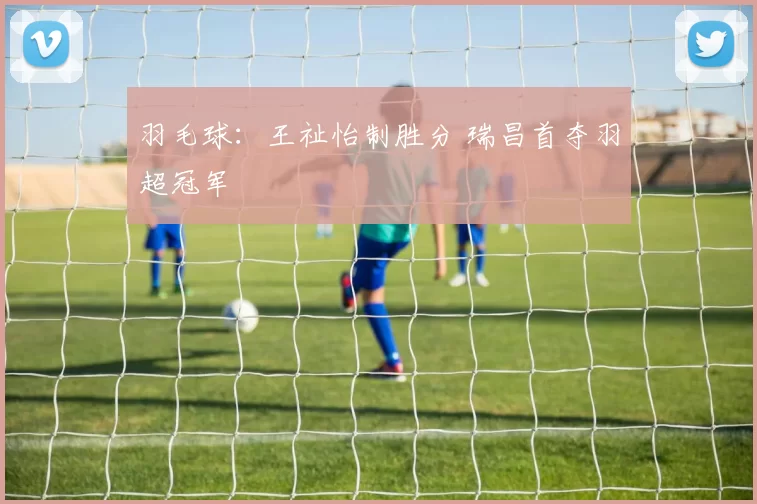 羽毛球：王祉怡制胜分 瑞昌首夺羽超冠军