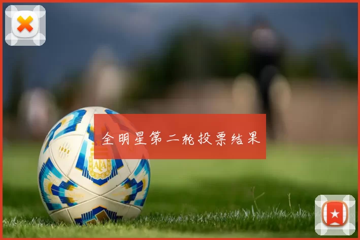 全明星第二轮投票结果