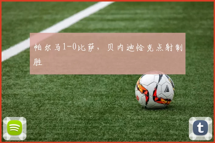 帕尔马1-0比萨，贝内迪恰克点射制胜