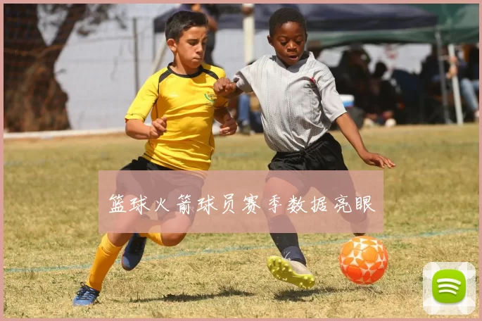 篮球火箭球员赛季数据亮眼