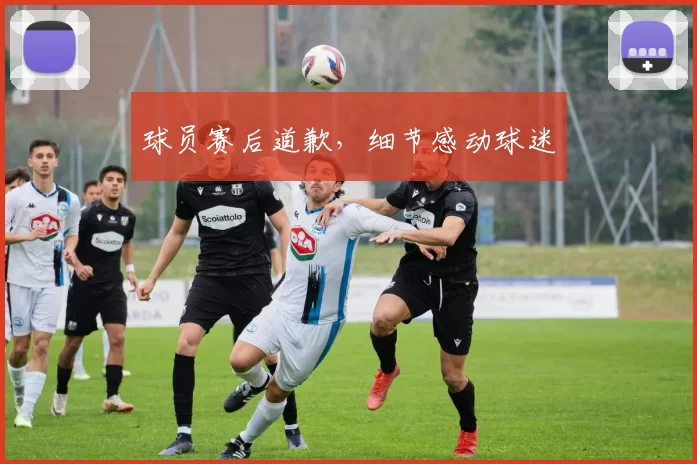 球员赛后道歉，细节感动球迷