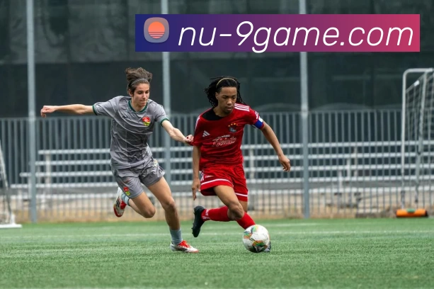 九游平台生态图